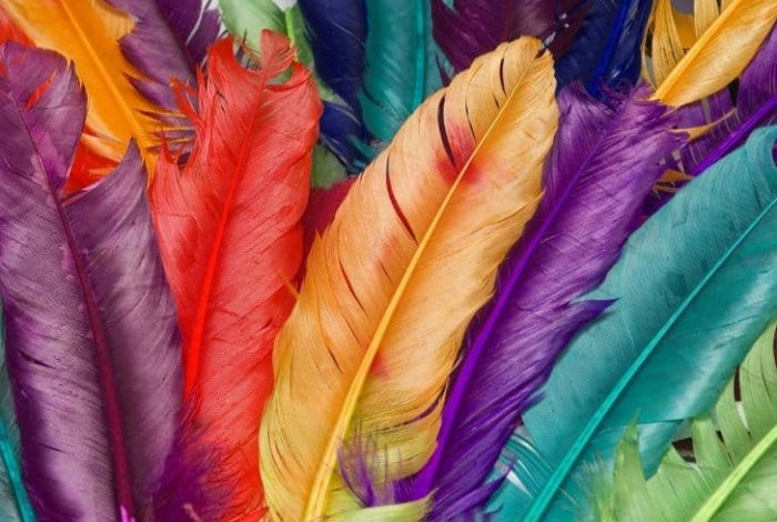 colorful-feathers.jpg