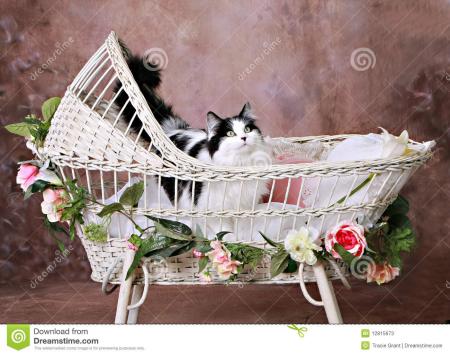 kitty-antique-wicker-baby-bassinet-12815673.jpg