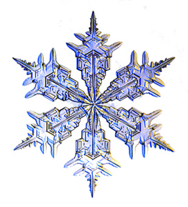 Snowflake_300h.jpg