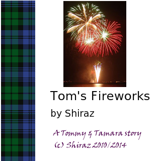 Tom's Fireworks - A Tommy & Tamara Story