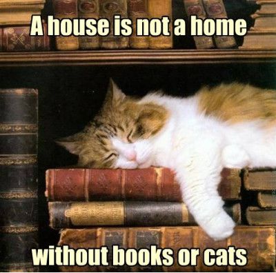 Funniest_Memes_a-house-is-not-a-home-without-books-or-cats_7256.jpeg