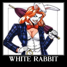 rabbitwhite.jpg
