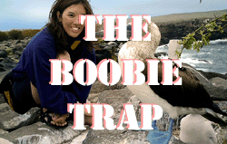 Bobbie_Trap_Title_0.gif