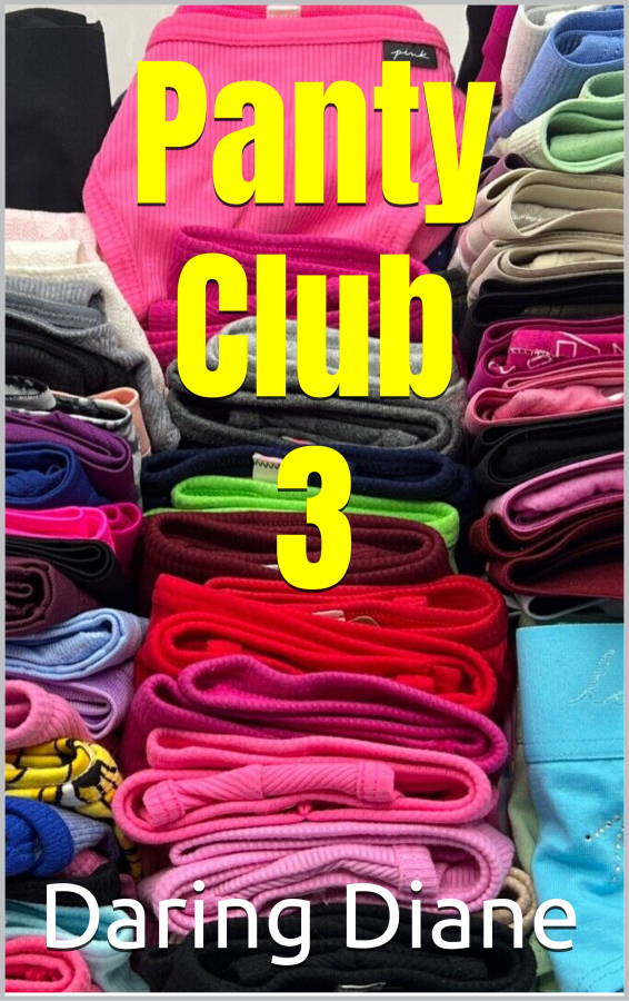 Panty Club 3 Cover.jpg