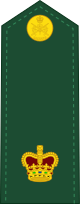 Canadian_Army_OF-3.svg_.png