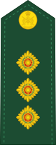 Canadian_Army_capt.svg_.png