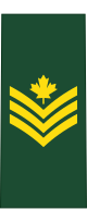 Canadian_Army_sgt.svg_.png