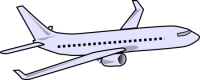 cricket 13 plane_0.png