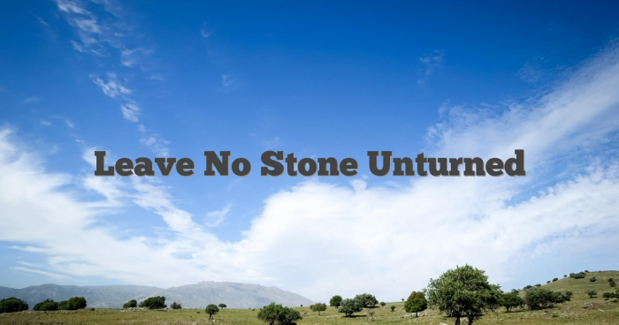 Leave-No-Stone-Unturned1.jpg