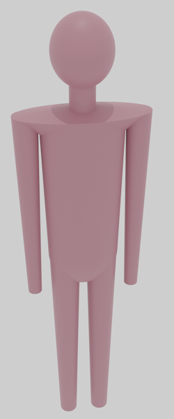 Body with shoulders and pelvis shapes added