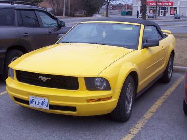 Mustang.jpg