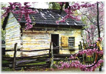 homestead_cabin.jpg