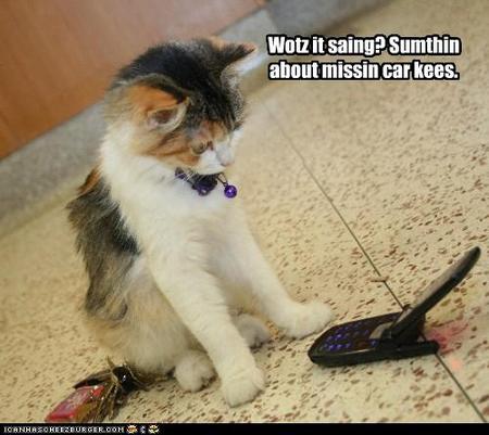 cat cell keys.jpg